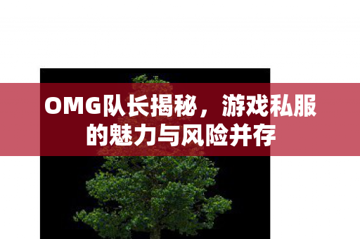 OMG队长揭秘，游戏私服的魅力与风险并存