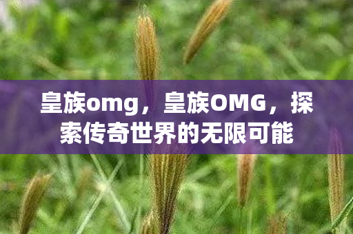 皇族omg，皇族OMG，探索传奇世界的无限可能