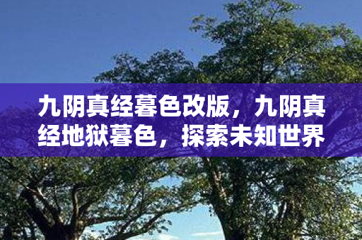 九阴真经暮色改版，九阴真经地狱暮色，探索未知世界的武侠之旅