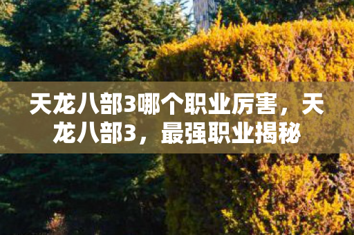 天龙八部3哪个职业厉害，天龙八部3，最强职业揭秘