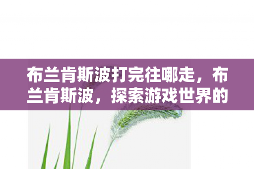 布兰肯斯波打完往哪走，布兰肯斯波，探索游戏世界的无限可能