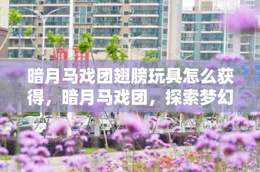 暗月马戏团翅膀玩具怎么获得，暗月马戏团，探索梦幻翅膀的奇幻之旅