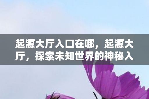 起源大厅入口在哪，起源大厅，探索未知世界的神秘入口