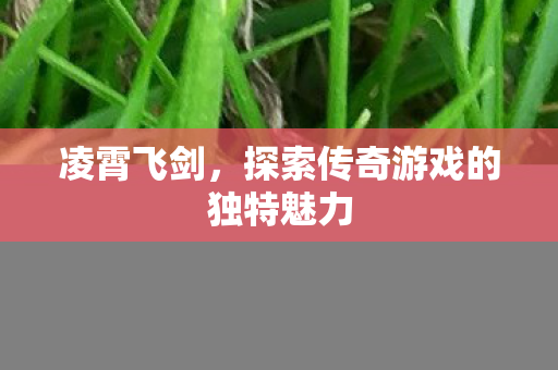 凌霄飞剑，探索传奇游戏的独特魅力