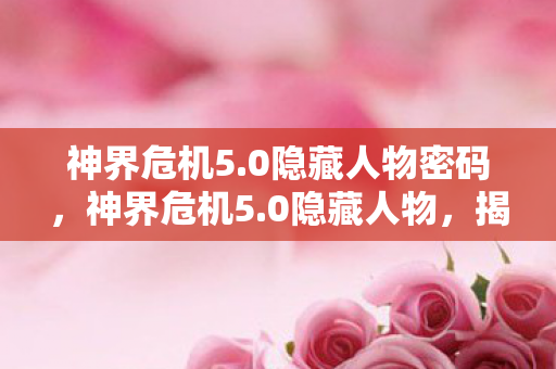 神界危机5.0隐藏人物密码，神界危机5.0隐藏人物，揭秘未知的英雄之旅