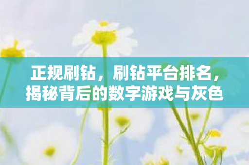 正规刷钻，刷钻平台排名，揭秘背后的数字游戏与灰色阴影