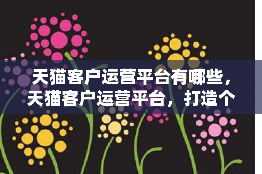 天猫客户运营平台有哪些，天猫客户运营平台，打造个性化购物体验