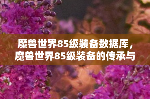 魔兽世界85级装备数据库，魔兽世界85级装备的传承与革新