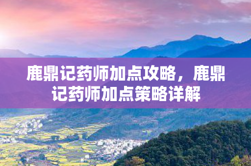 鹿鼎记药师加点攻略，鹿鼎记药师加点策略详解