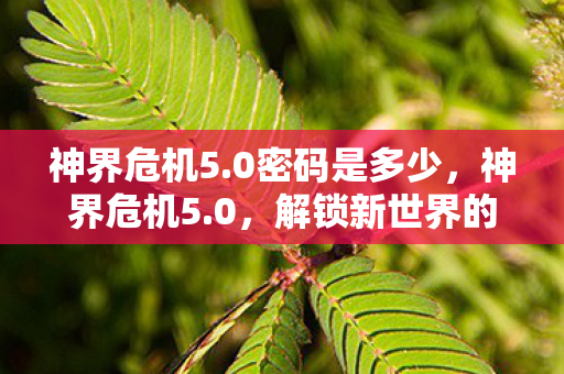 神界危机5.0密码是多少，神界危机5.0，解锁新世界的密码