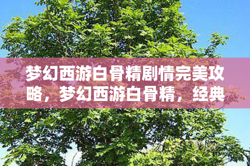 梦幻西游白骨精剧情完美攻略，梦幻西游白骨精，经典角色背后的传奇故事