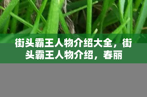 街头霸王人物介绍大全，街头霸王人物介绍，春丽