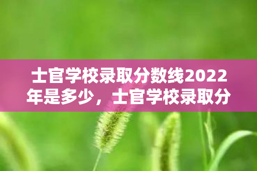 士官学校录取分数线2022年是多少，士官学校录取分数线2022，揭秘军校门槛新变化