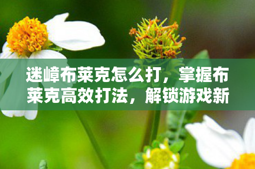 迷嶂布莱克怎么打，掌握布莱克高效打法，解锁游戏新境界