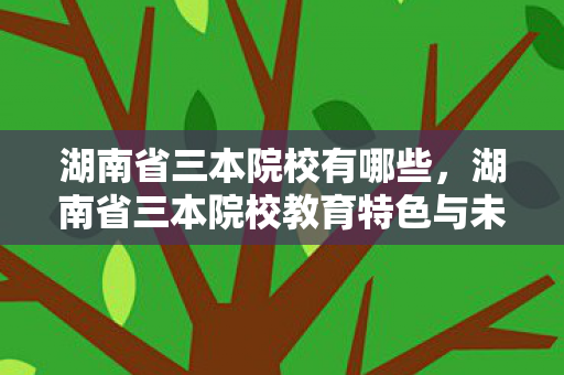 湖南省三本院校有哪些，湖南省三本院校教育特色与未来发展展望