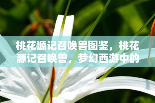 桃花源记召唤兽图鉴，桃花源记召唤兽，梦幻西游中的神秘伙伴