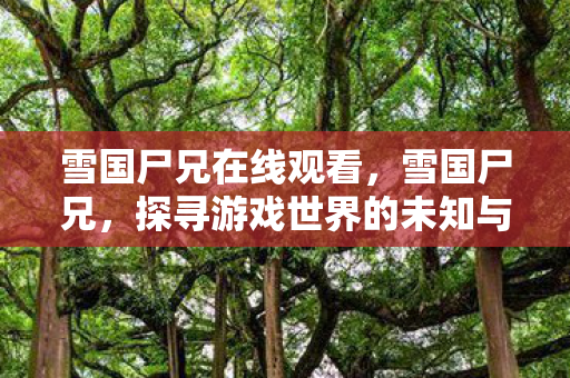 雪国尸兄在线观看，雪国尸兄，探寻游戏世界的未知与神秘