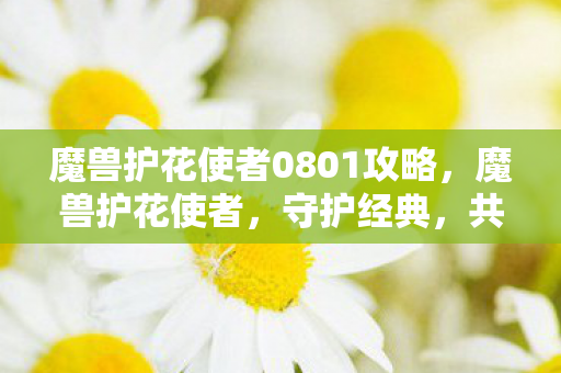 魔兽护花使者0801攻略，魔兽护花使者，守护经典，共筑回忆