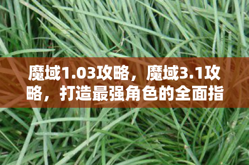 魔域1.03攻略，魔域3.1攻略，打造最强角色的全面指南