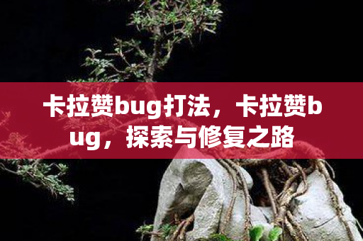 卡拉赞bug打法，卡拉赞bug，探索与修复之路