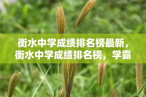 衡水中学成绩排名榜最新，衡水中学成绩排名榜，学霸们的辉煌成就