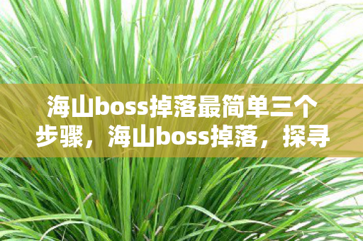 海山boss掉落最简单三个步骤，海山boss掉落，探寻神秘宝藏的奇幻之旅