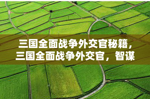 三国全面战争外交官秘籍，三国全面战争外交官，智谋与口才的较量