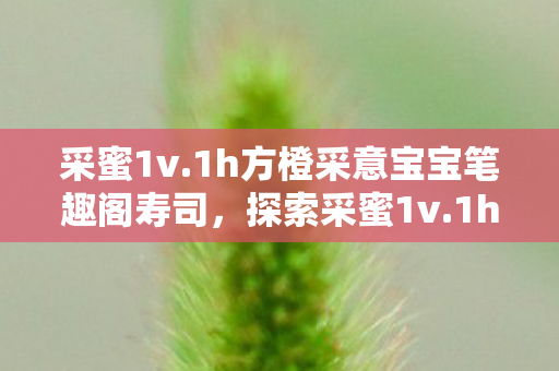 采蜜1v.1h方橙采意宝宝笔趣阁寿司，探索采蜜1v.1h方橙采意宝宝的奇妙世界