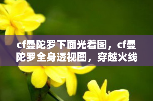 cf曼陀罗下面光着图，cf曼陀罗全身透视图，穿越火线的神秘魅力