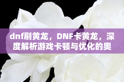dnf刷黄龙，DNF卡黄龙，深度解析游戏卡顿与优化的奥秘