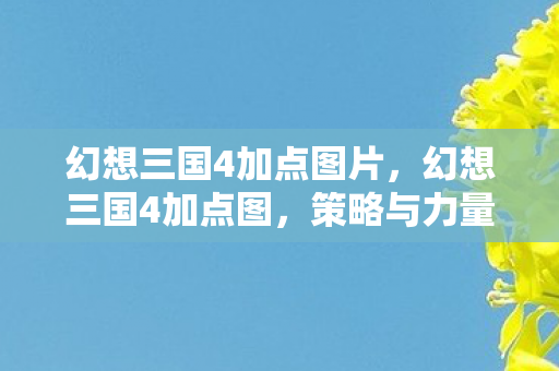 幻想三国4加点图片，幻想三国4加点图，策略与力量的完美融合