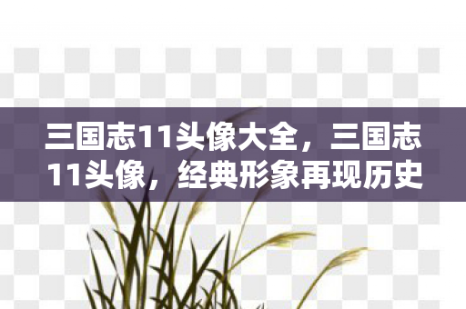 三国志11头像大全，三国志11头像，经典形象再现历史风华