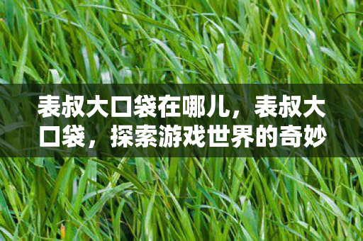 表叔大口袋在哪儿，表叔大口袋，探索游戏世界的奇妙之旅