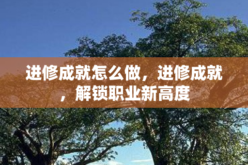 进修成就怎么做，进修成就，解锁职业新高度