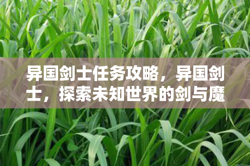 异国剑士任务攻略，异国剑士，探索未知世界的剑与魔法