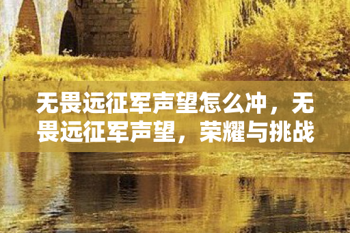 无畏远征军声望怎么冲，无畏远征军声望，荣耀与挑战的征途