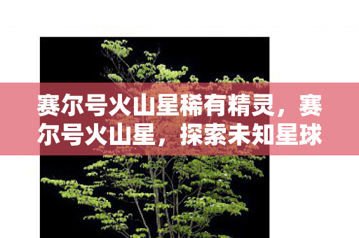 赛尔号火山星稀有精灵，赛尔号火山星，探索未知星球的奇妙之旅