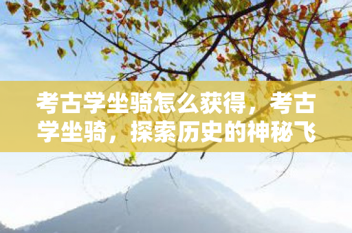 考古学坐骑怎么获得，考古学坐骑，探索历史的神秘飞行器