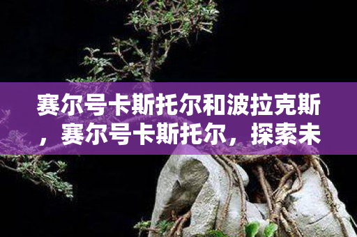 赛尔号卡斯托尔和波拉克斯，赛尔号卡斯托尔，探索未知，挑战极限