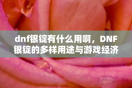 dnf银锭有什么用啊，DNF银锭的多样用途与游戏经济影响