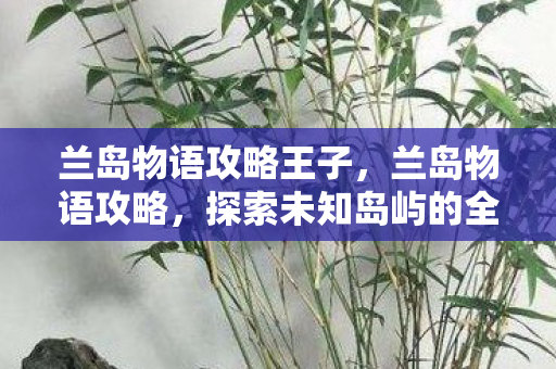 兰岛物语攻略王子，兰岛物语攻略，探索未知岛屿的全方位指南