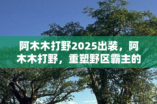 阿木木打野2025出装，阿木木打野，重塑野区霸主的传奇之路