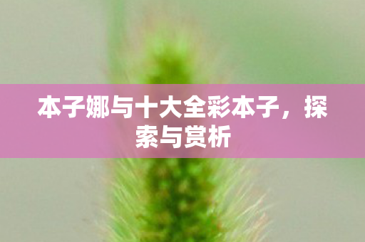 本子娜与十大全彩本子,探索与赏析 本子娜与十大全彩本子,探索与赏析