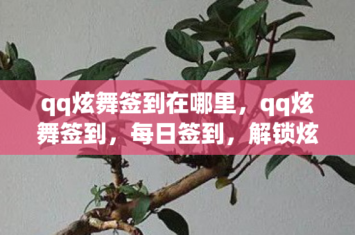 qq炫舞签到在哪里，qq炫舞签到，每日签到，解锁炫舞新惊喜