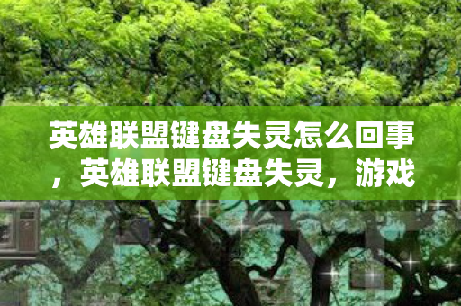 英雄联盟键盘失灵怎么回事，英雄联盟键盘失灵，游戏玩家的困境与解决之道