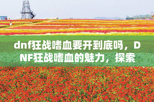 dnf狂战嗜血要开到底吗，DNF狂战嗜血的魅力，探索战斗与成长的无尽之路
