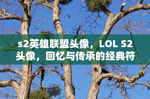 s2英雄联盟头像，LOL S2头像，回忆与传承的经典符号