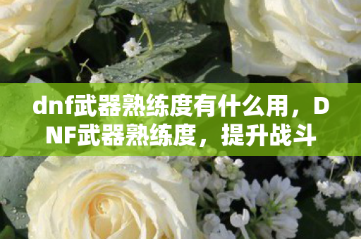 dnf武器熟练度有什么用，DNF武器熟练度，提升战斗力的关键要素