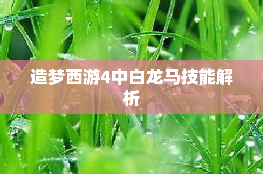 造梦西游4中白龙马技能解析