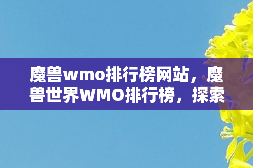 魔兽wmo排行榜网站，魔兽世界WMO排行榜，探索艾泽拉斯的荣耀与辉煌